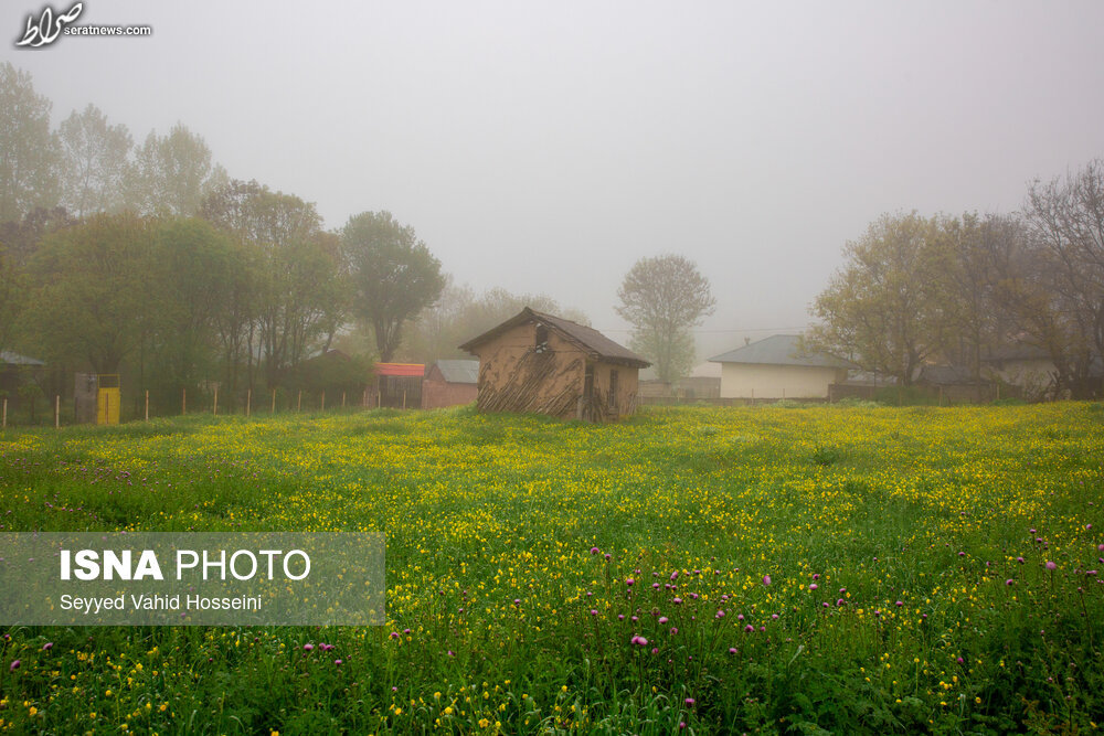 عکس/ ایران زیباست؛ بره سر