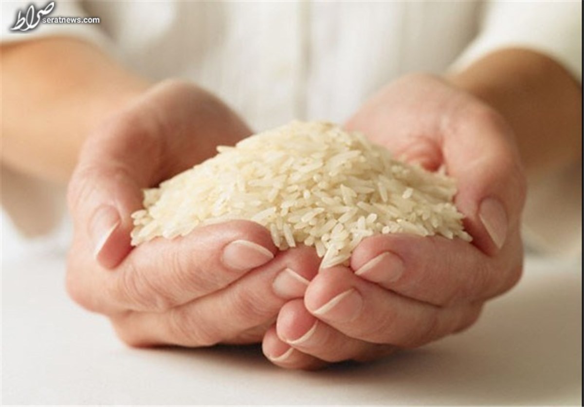 حباب برنج ایرانی ترکید + جزئیات کاهش قیمت