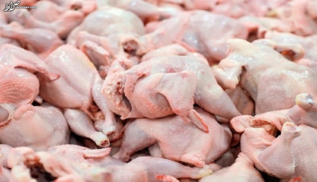 افزایش نرخ مرغ به ۶۵ هزار تومان؛ مصرف مرغ ۲۰ درصد کاهش یافت