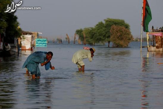 عکس / وضو گرفتن پاکستانی ها با آب سیلاب