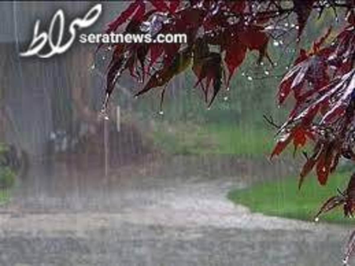 بارش باران در نقاط مختلف کشور/ خیزش گردوخاک در ۴ استان