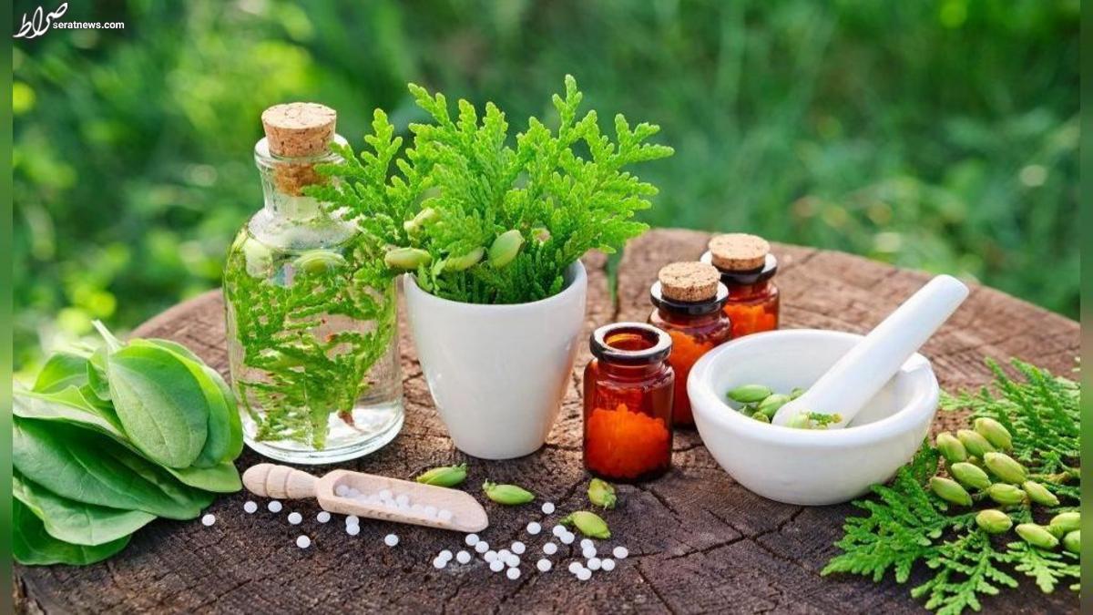 گیاهان دارویی که با ویروس زگیل مقابله میکنند