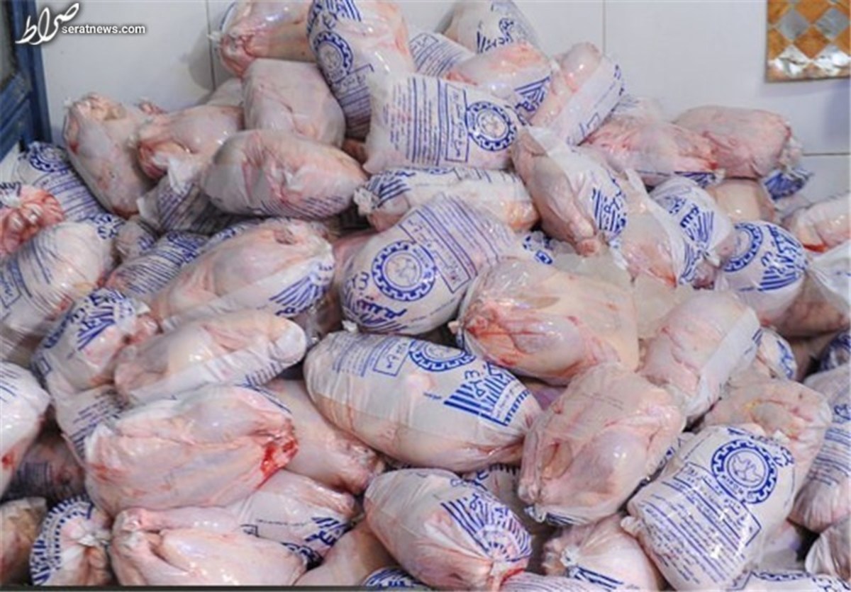توزیع گسترده گوشت مرغ در میادین و خرده‌فروشی‌ها