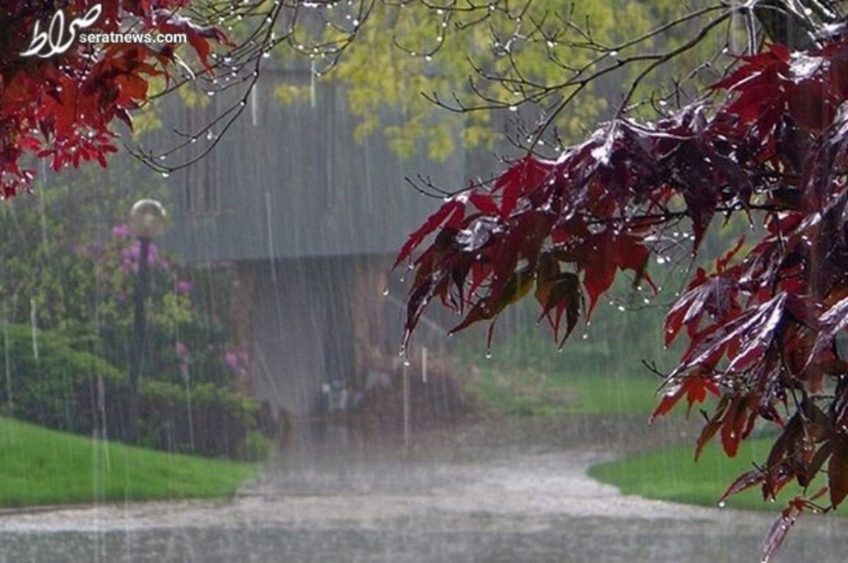 بارش باران در شمال کشور/ ورود گرد و خاک به مرزهای غربی