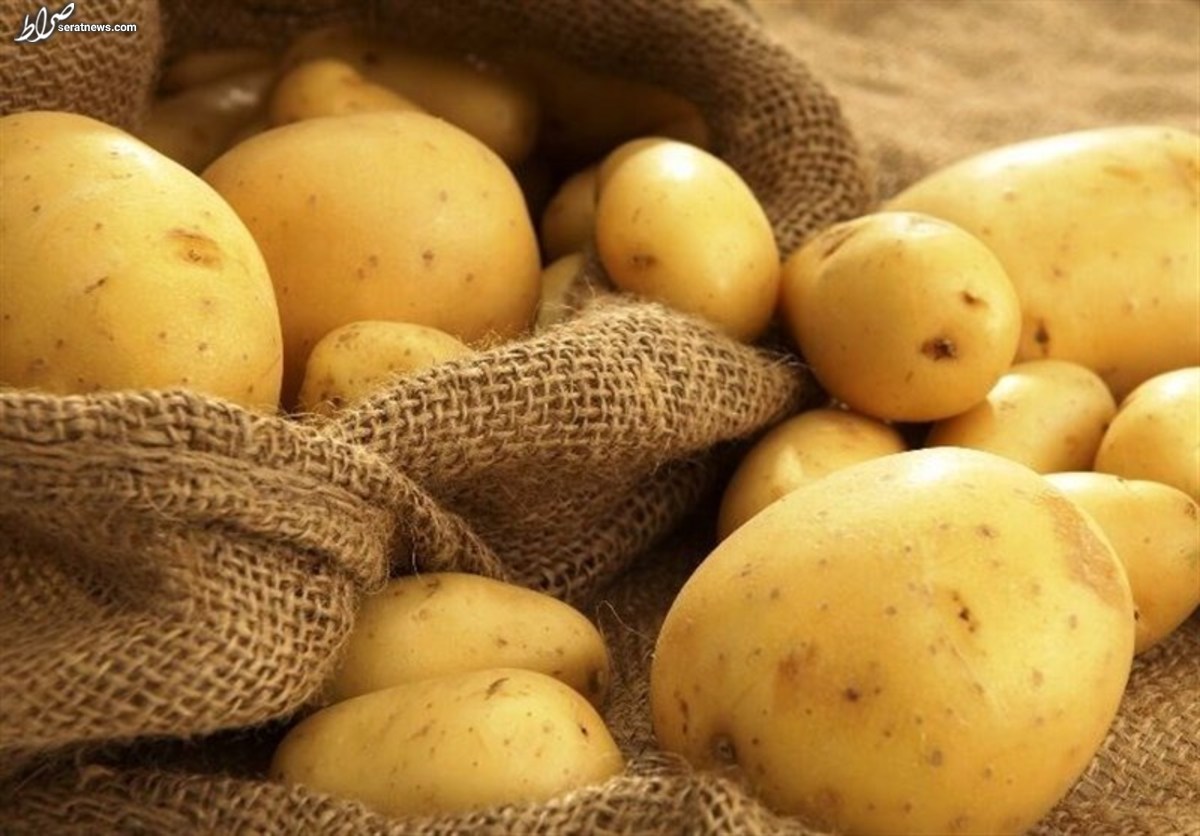 سیب زمینیهایی که بوی خطر میدهند!