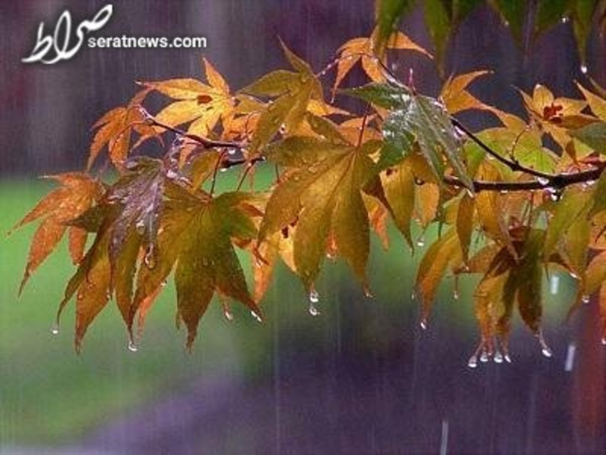 بارش باران در برخی استان‌های کشور طی روز‌های آینده