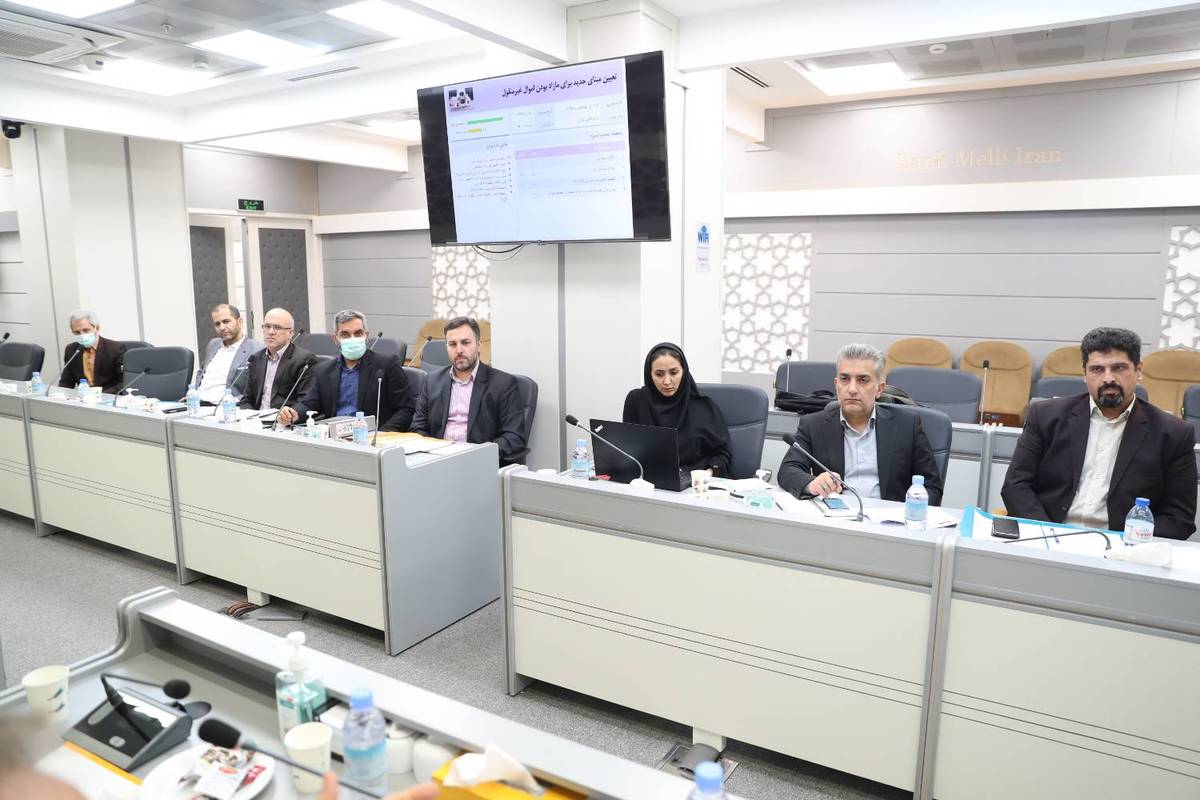 برگزاری جلسه کمیته مضمون مولدسازی داراییهای منجمد و انضباط مالی