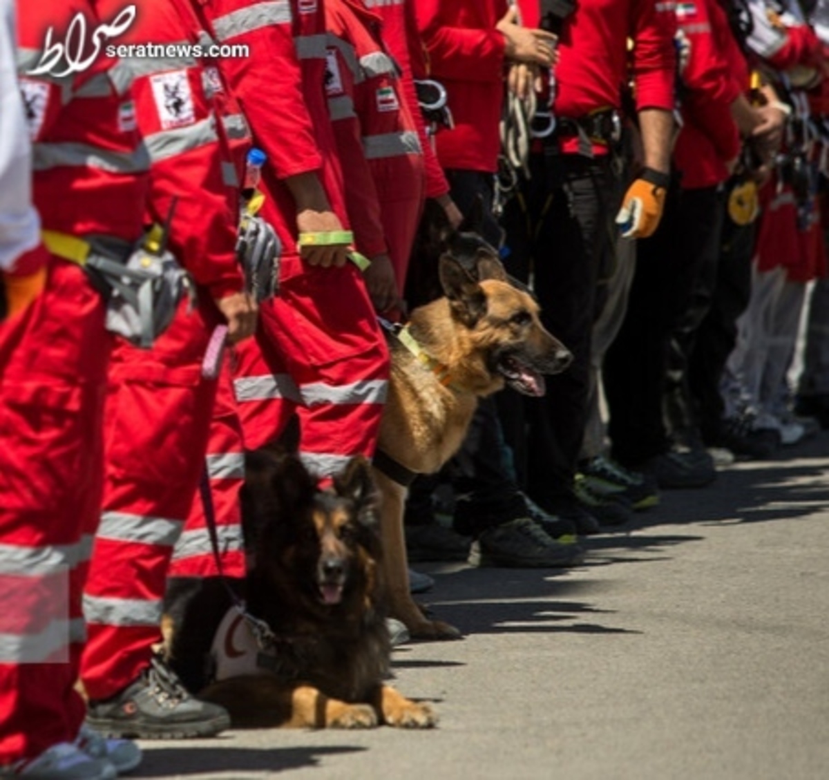 حادثهخیزترین استان در حوادث کوهستان