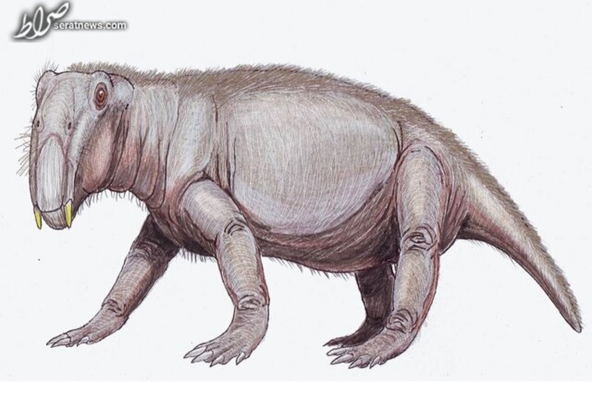 تصویر عجیب از خوک دوران دایناسورها +عکس