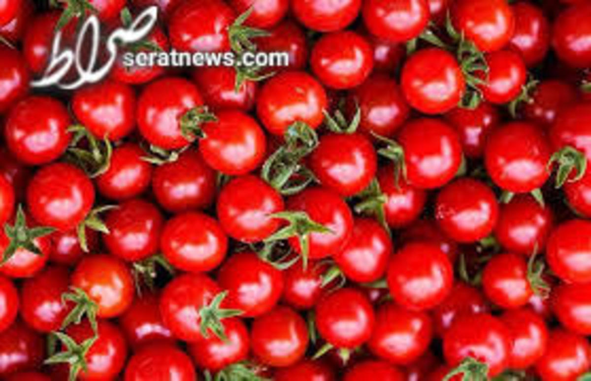ماجرای ابطال ممنوعیت صادرات صیفیجات