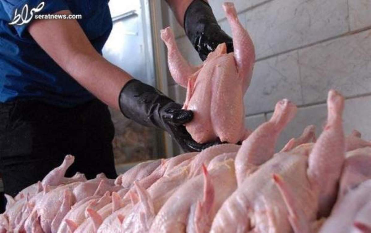 کاهش بیشتر قیمت مرغ طی هفته‌های آتی
