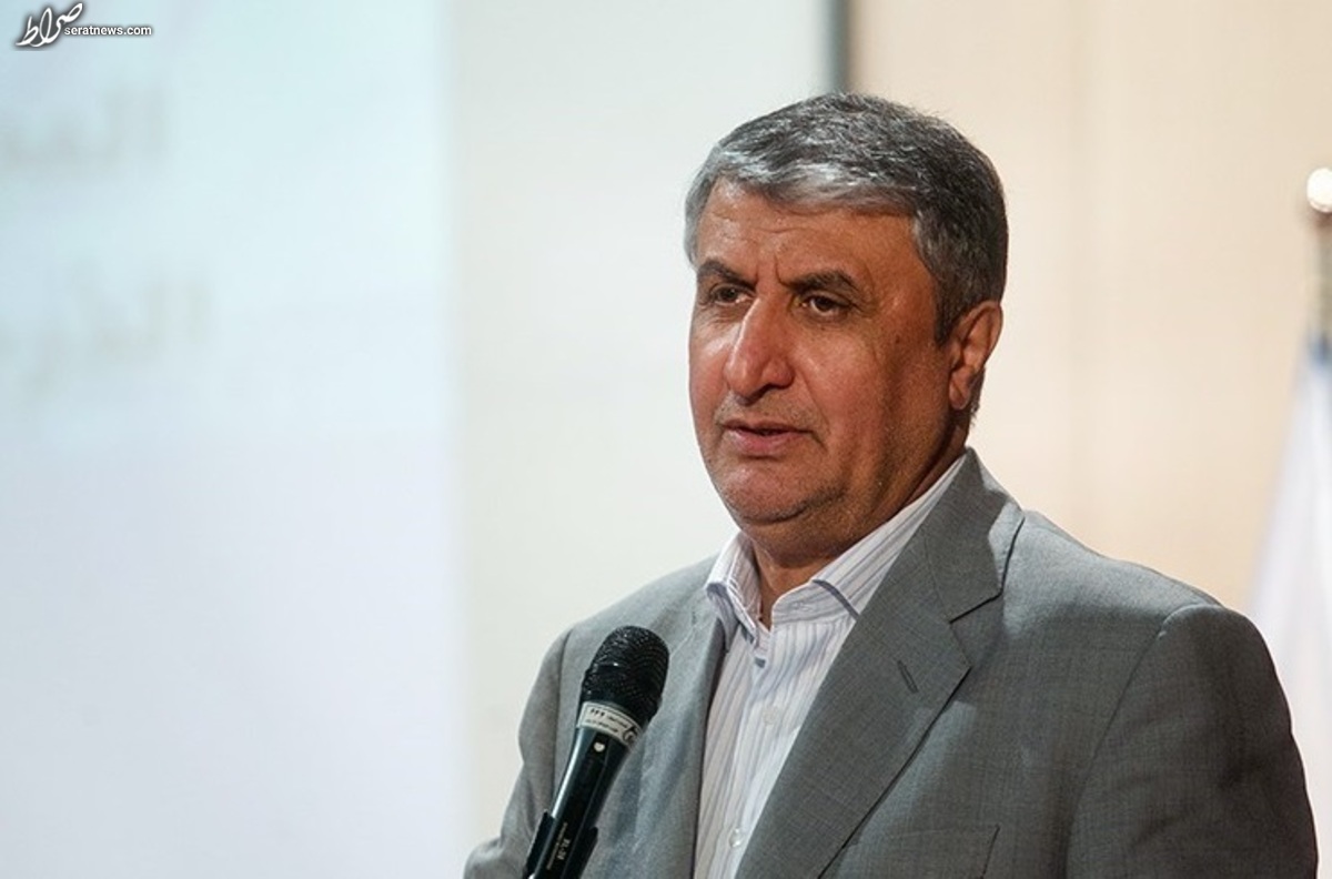 بومیسازی راکتورها آغاز شد / به قطب سازنده نیروگاههای هستهای در دنیا تبدیل میشویم