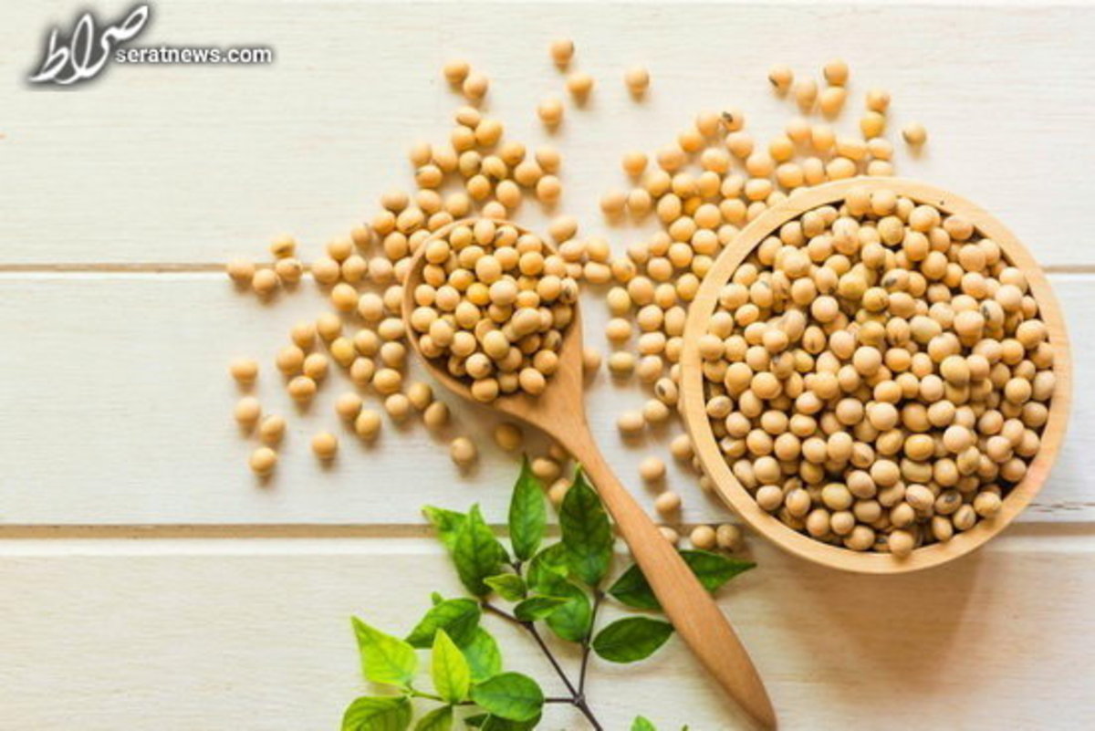 مصرف «سویا» و کاهش خطر بیماریهای قلبی-عروقی