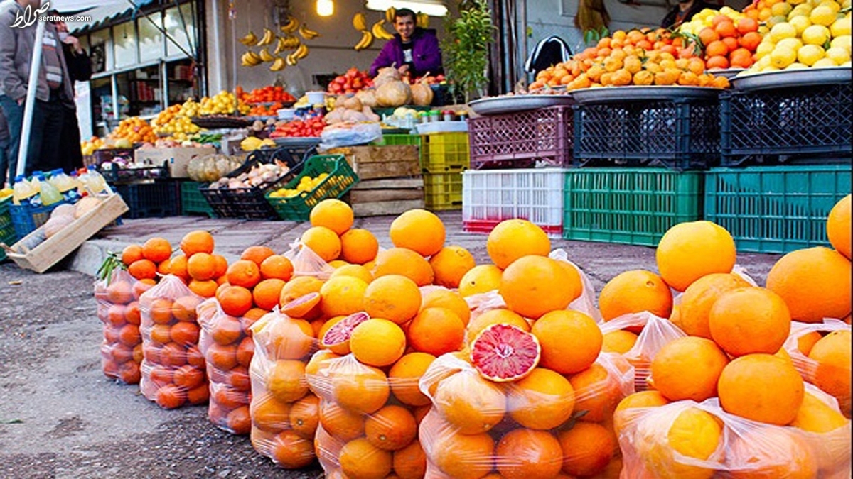 چرا پرتقال جنوب گرانتر از مرکبات شمال است؟