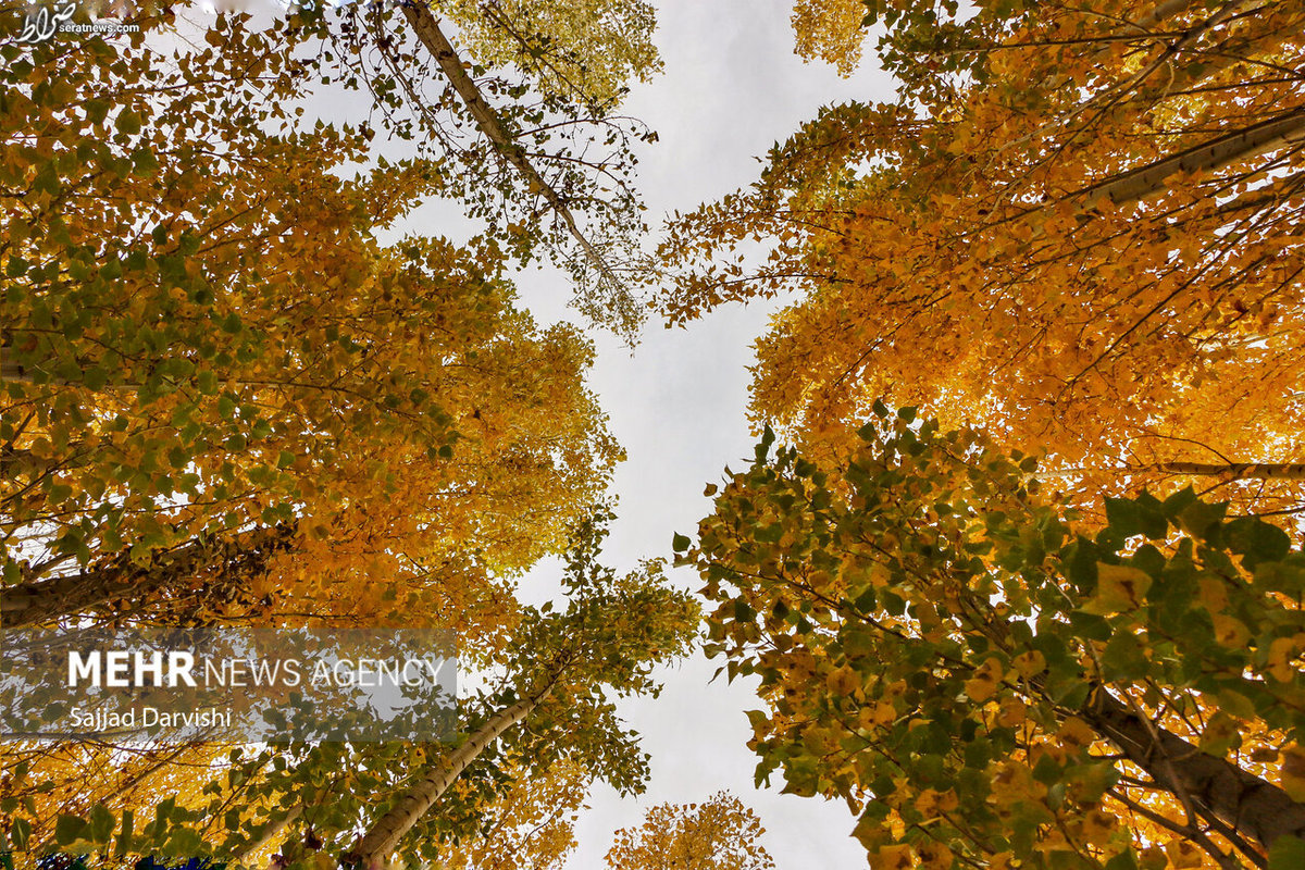 تصاویر / آخرین ردپای پاییز در خرمآباد
