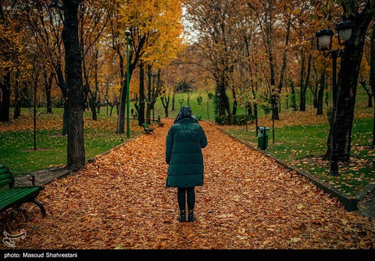 تصاویر / بارش باران پائیزی در پایتخت