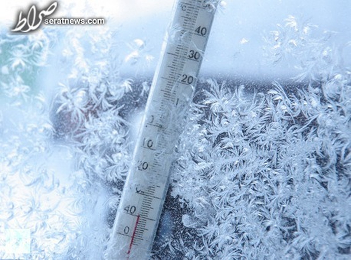 تصاویر / «مهاجران سیبری» مهمان گیلان شدند