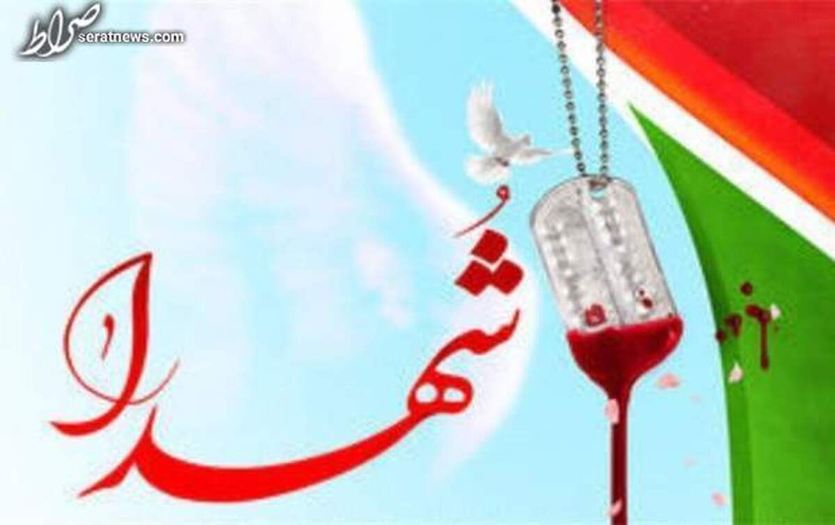 فیلم/ مادر شهیدی که هر روز تابلو شهیدش را در خیابان تمیز میکند