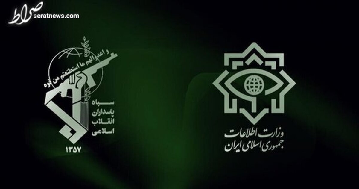 ۲۳ نفر از واینرهای دارای فعالیت مجرمانه در فضای مجازی دستگیر شدند