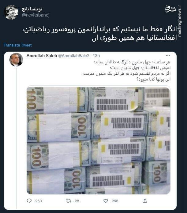 براندازانمون پروفسور ریاضیاتن+ عکس