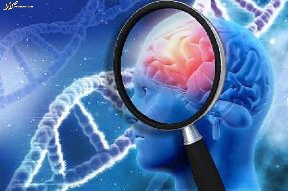 تاثیر ورزش بر جلوگیری از پیری مغز