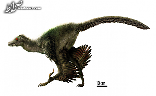 کشف دایناسور ۱۲۰ میلیون ساله در مغولستان