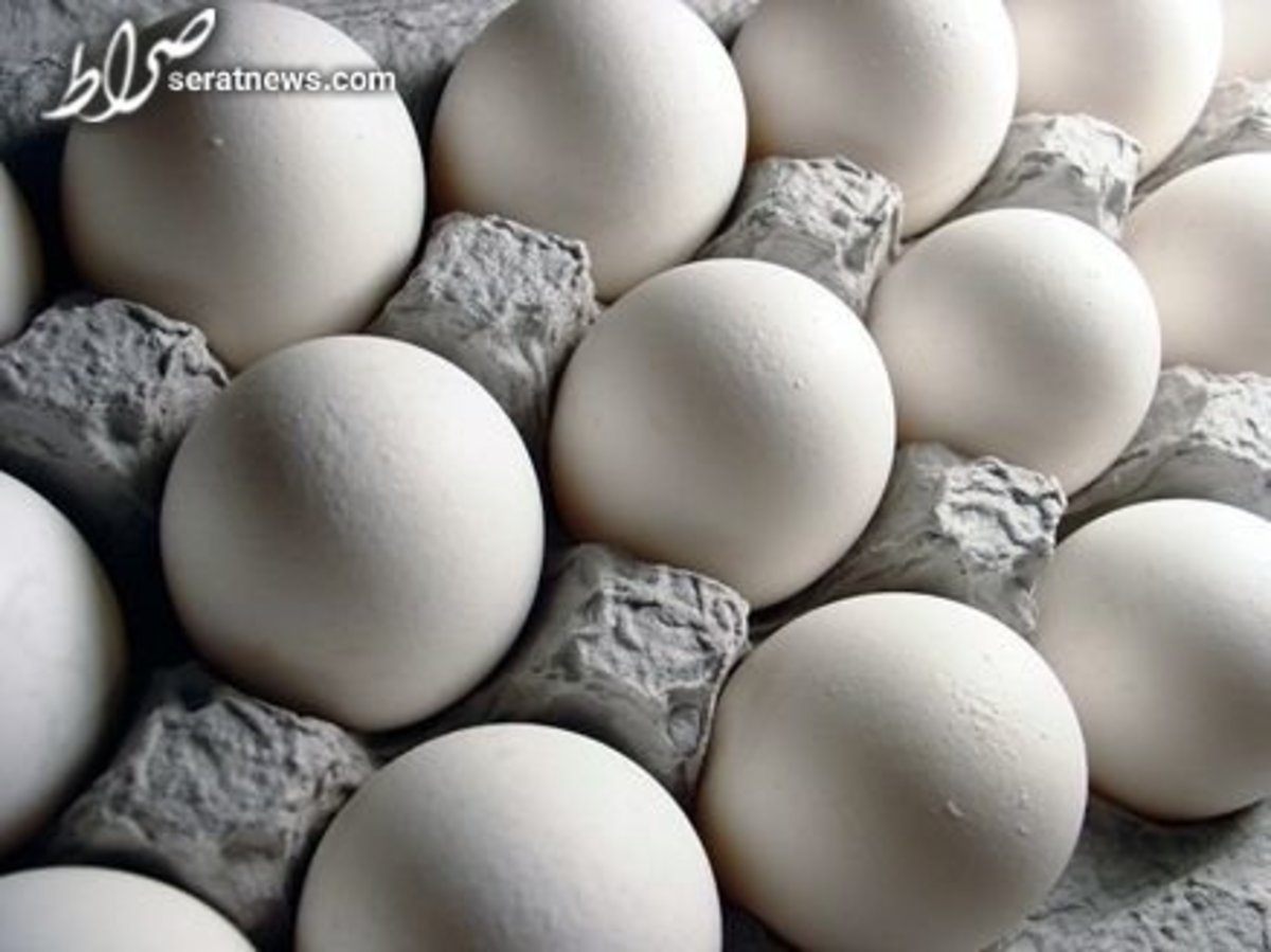 قیمت مرغ و تخم مرغ در بازار امروز ۳ آذر