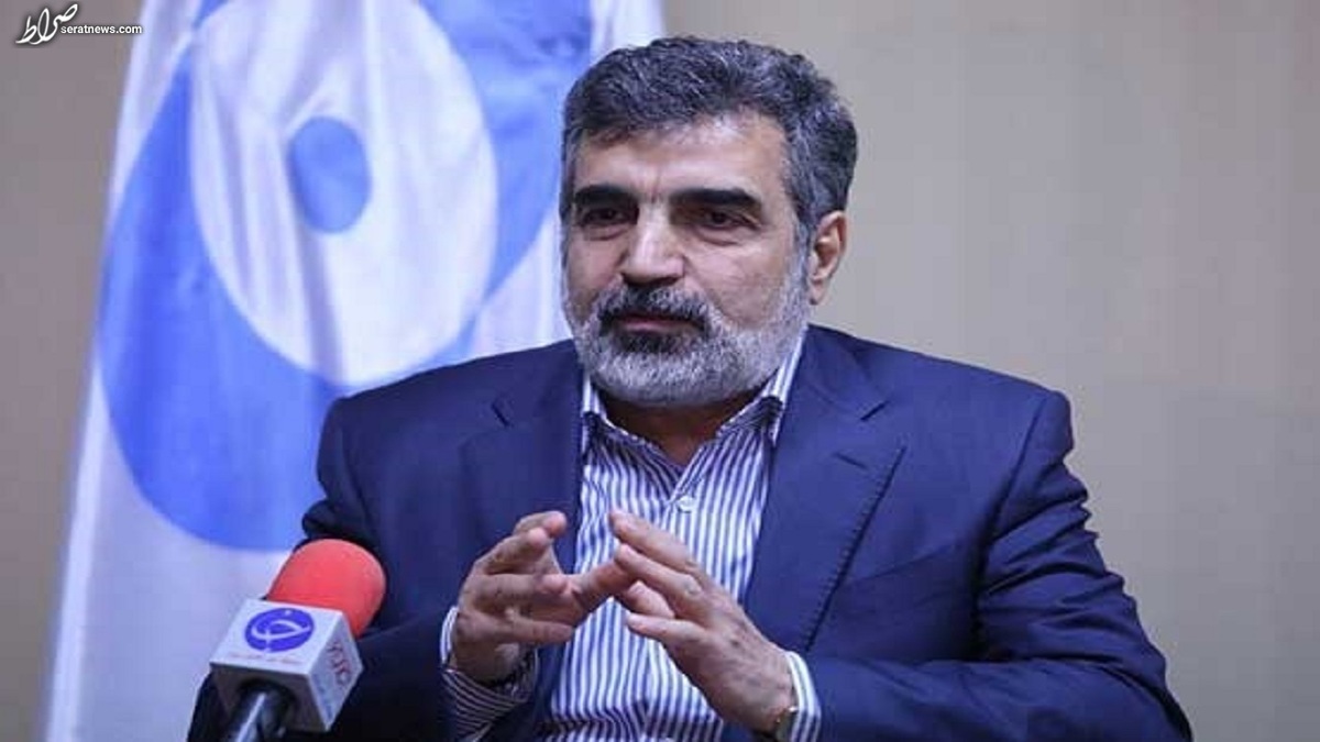 کنعانی: سخنان صدراعظم آلمان نشانه ریاکاری است
