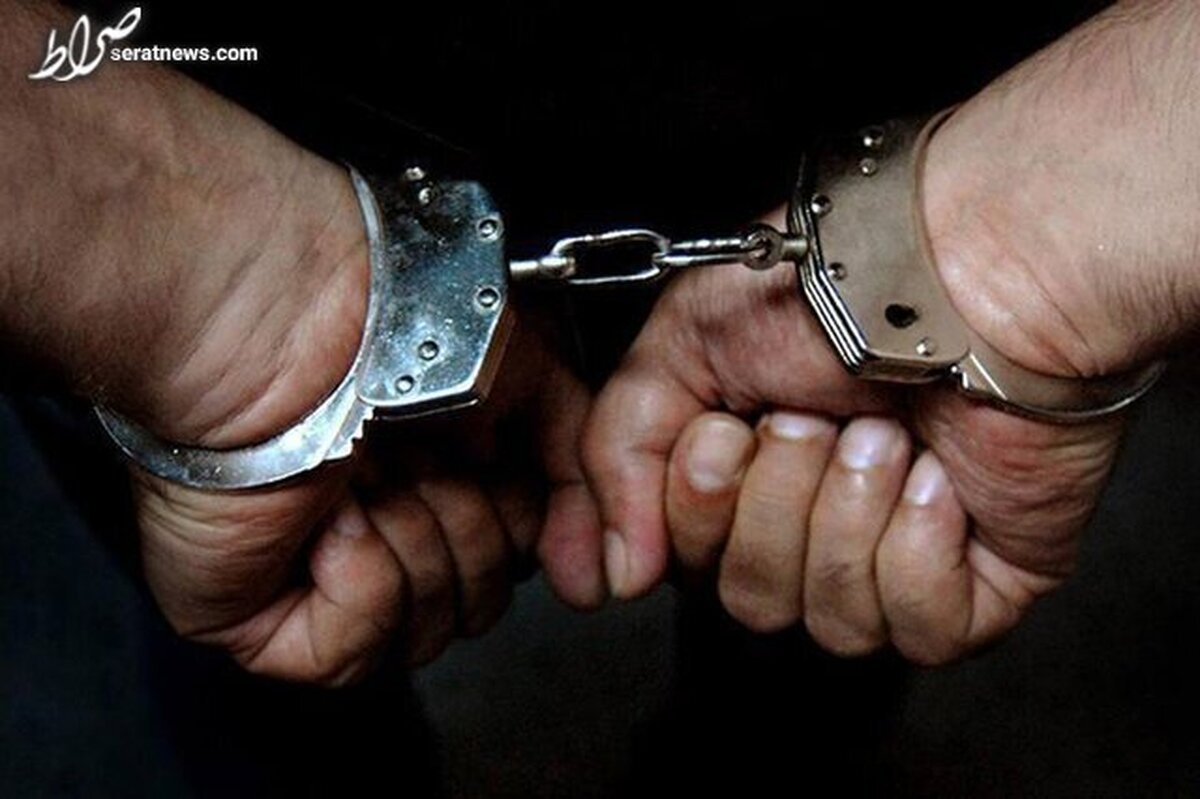 دستگیری ۶۸ هزار متهم اقتصادی در کشور