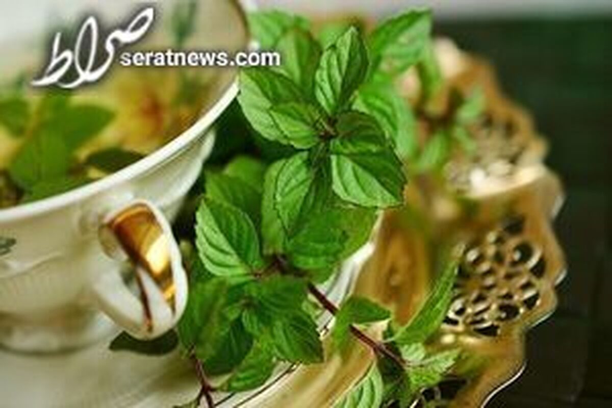 فواید خوردن نعناع در ماه رمضان