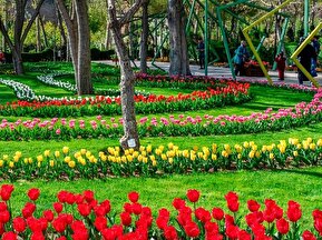 تصاویر / نهمین جشنواره لاله کرج