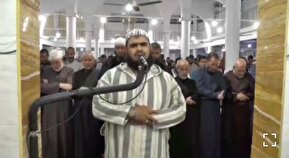 فیلم/ بازیگوشی یک گربه در نماز جماعت یک مسجد فیلم/ بازیگوشی یک گربه در نماز جماعت یک مسجد