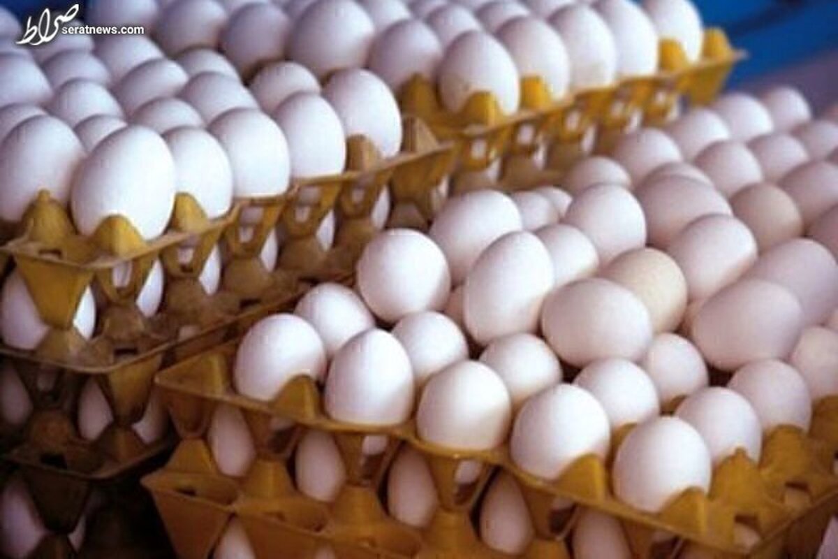 عرضه تخم‌مرغ کماکان کمتر از نرخ مصوب