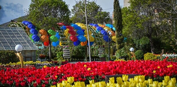 تصاویر/جشنواره گلهای لاله اراک