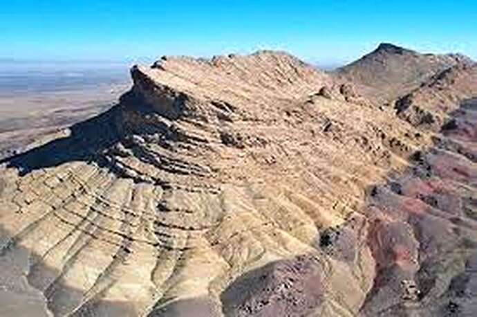فیلم/کشف فسیل‌های ۴۰ میلیون ساله در نطنز