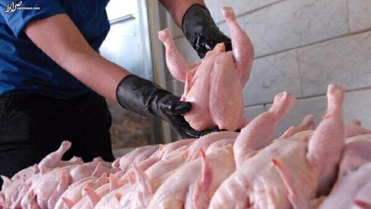 به زودی اصلاح قیمت مرغ اعلام می‌شود