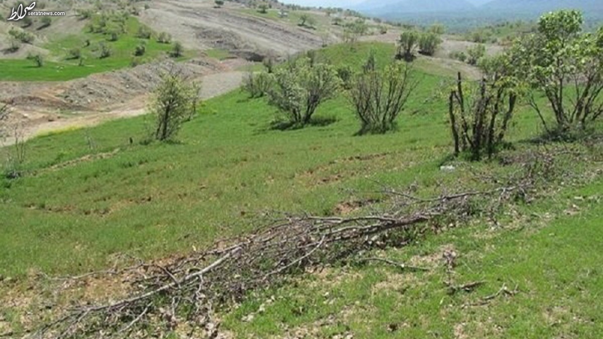 کشف زمین خواری ۲۰۰ میلیاردی در گلستان