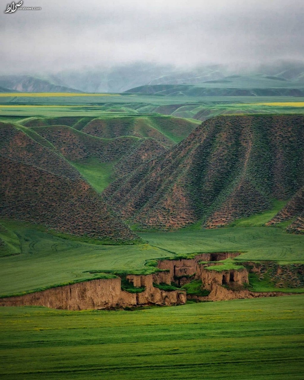 عکس/ طبیعت زیبای ترکمن صحرا