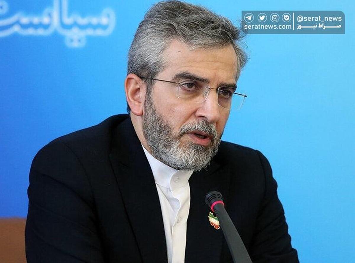 باقری‌کنی: دلارزدایی از ماموریت‌های ایران در گروه بریکس است