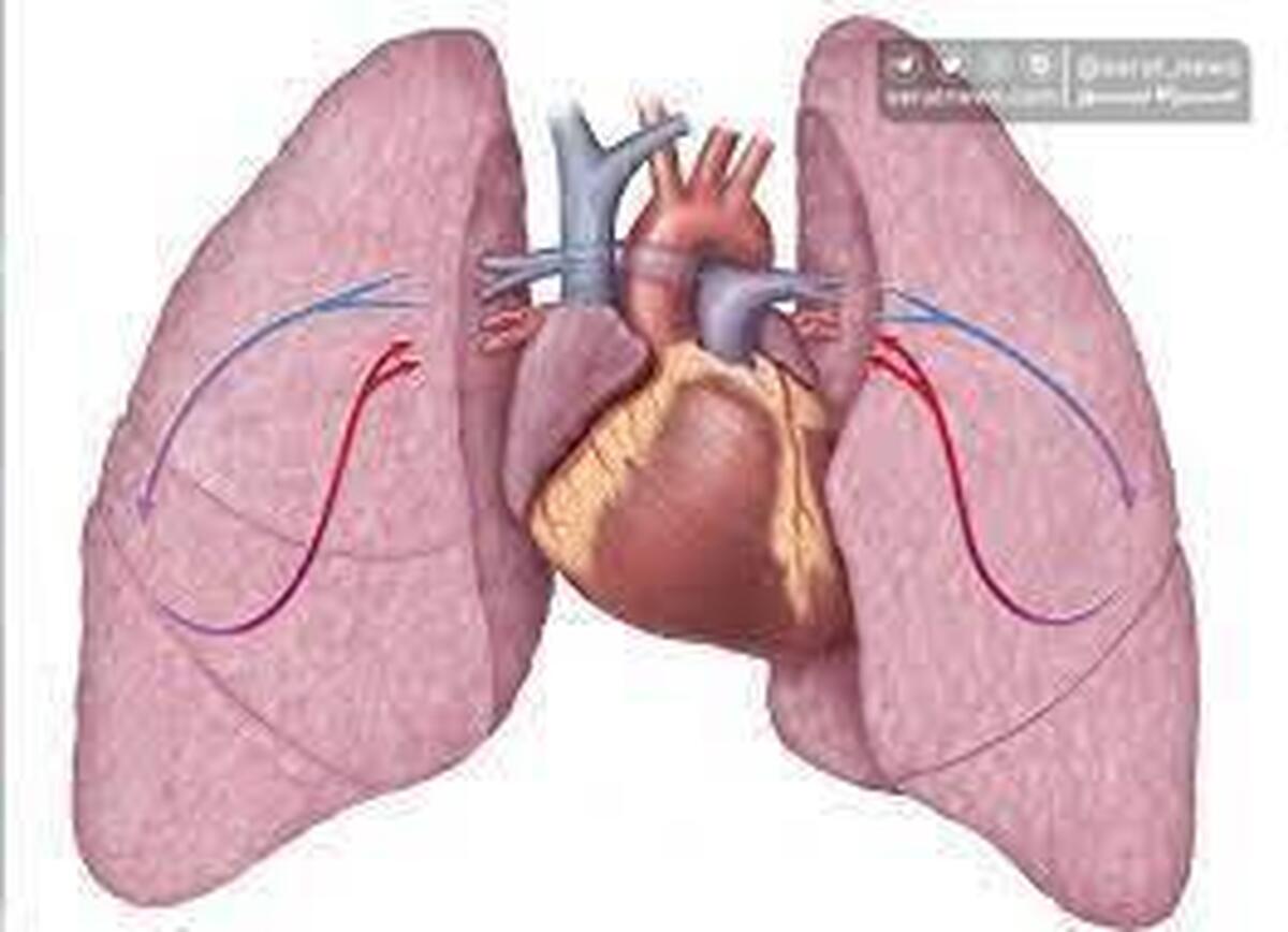 تفاوت تنگی نفس قلبی و ریوی
