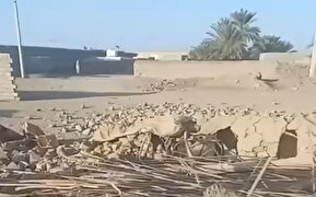 فیلم / تصاویری از حمله پاکستان به مواضعی در مرز با ایران