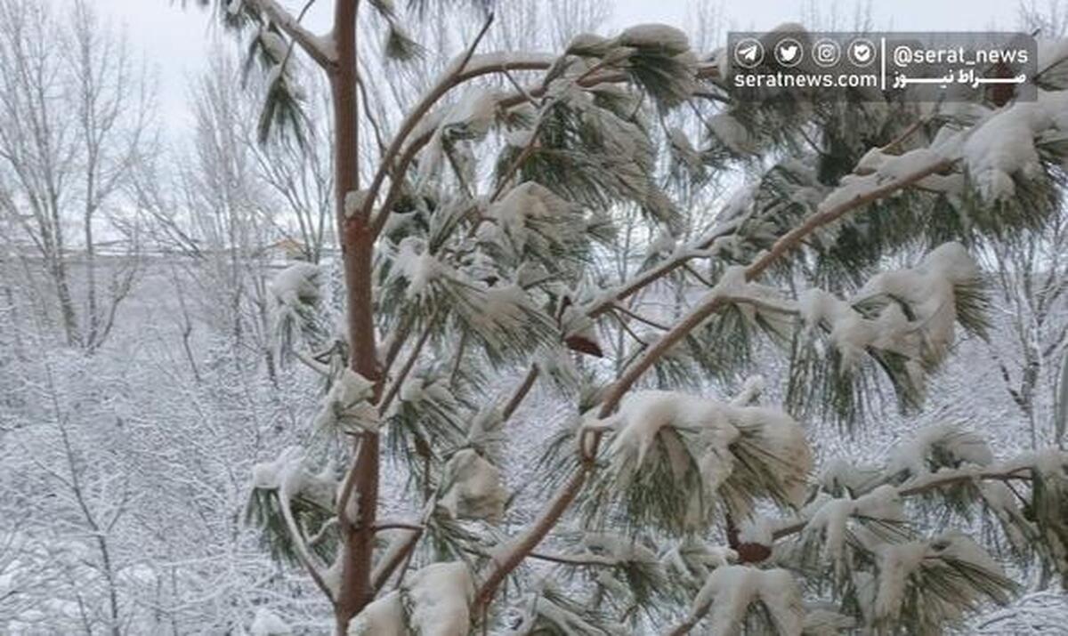 سراب، سردترین شهر ایران