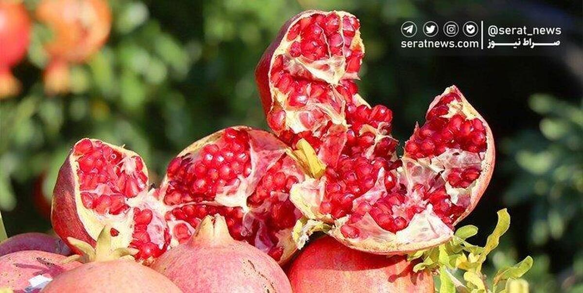 خواص معجزه‌آسا و درمانی انار برای سلامتی
