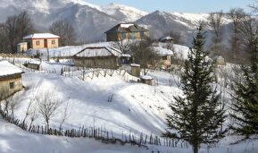 تصاویر / طبیعت برفی روستای «زندانه»