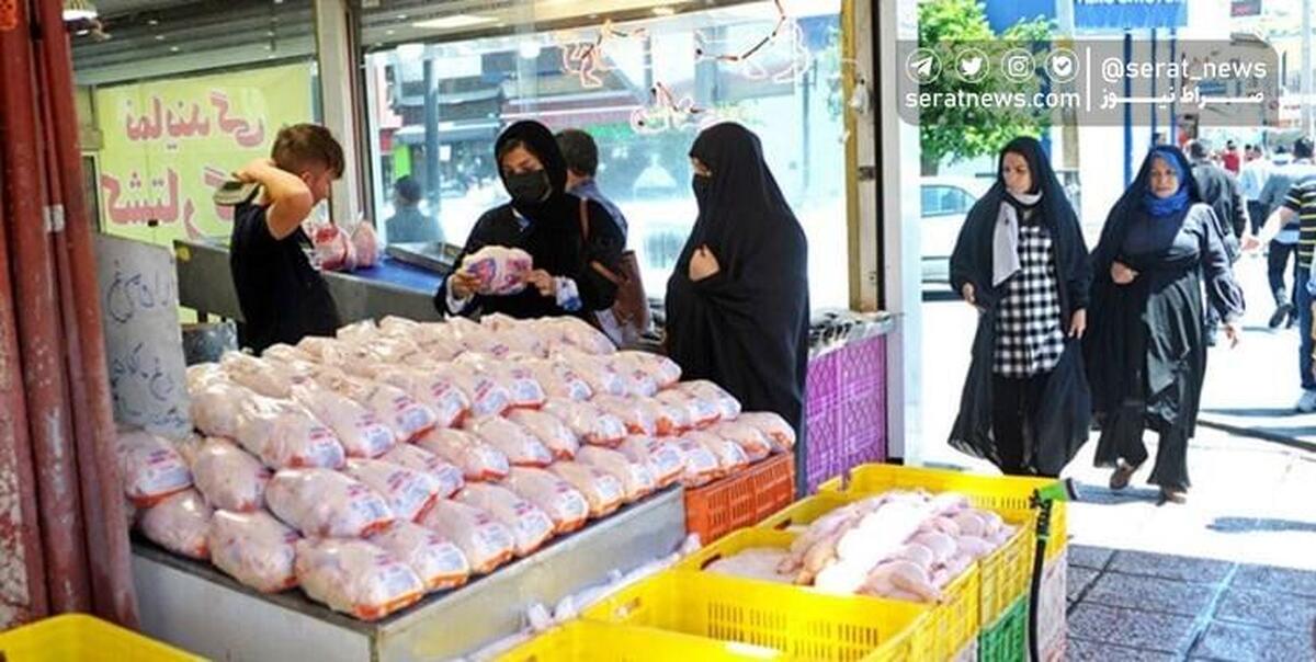 شیب کاهش قیمت در انتظار بازار مرغ