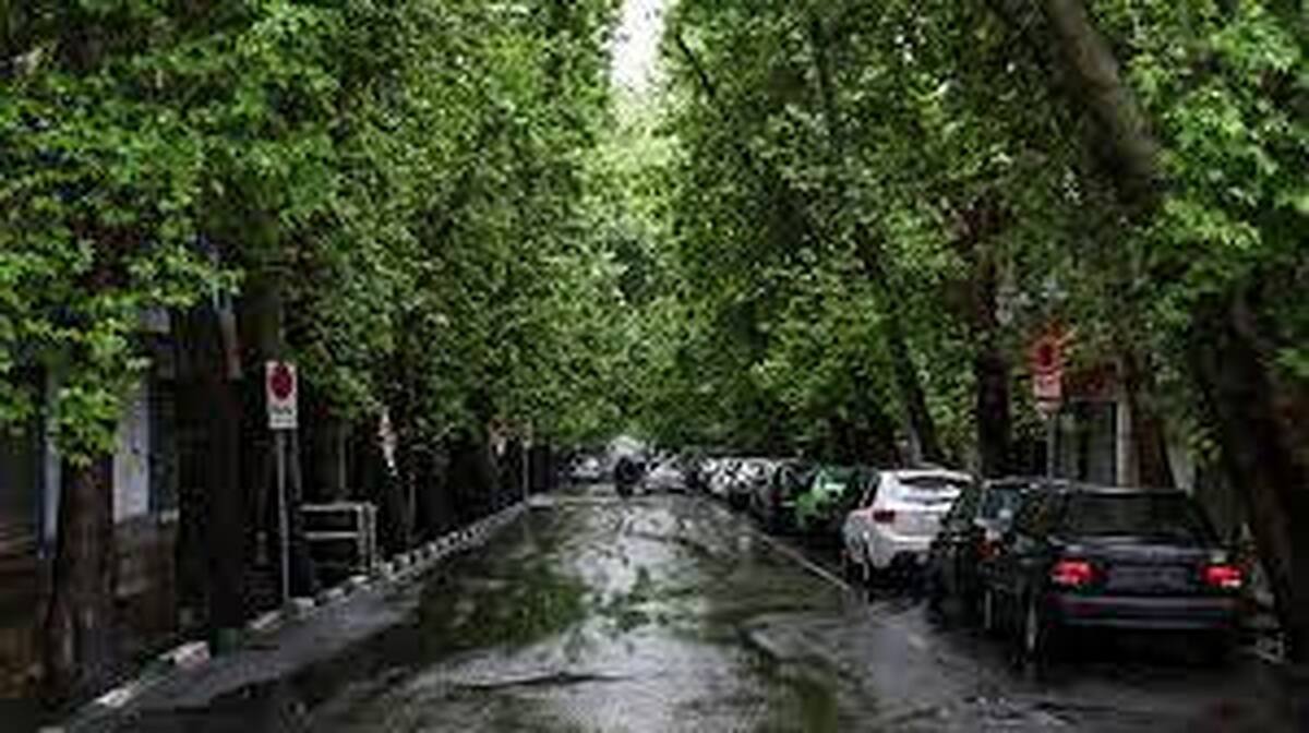 تداوم بارندگی‌ در تهران تا فردا/پایتخت طی ۲۴ ساعت گذشته چقدر بارندگی دریافت کرد؟
