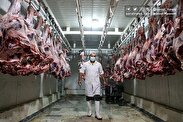 یک خبر نگران‌کننده درباره قیمت گوشت