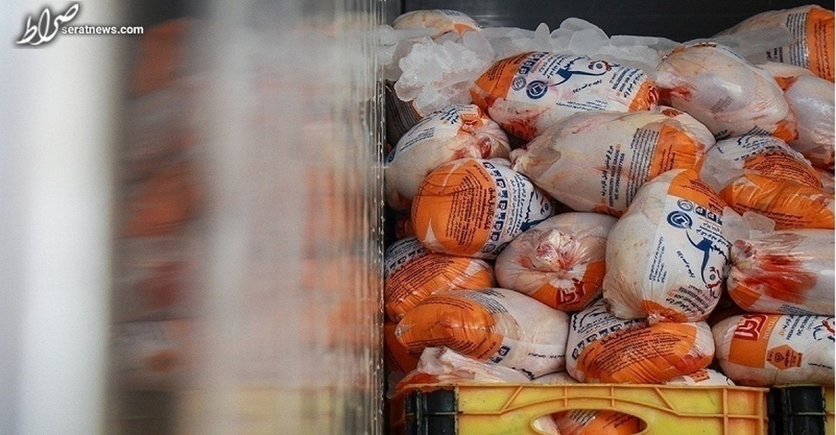 قیمت مرغ در بازار تعدیل می شود