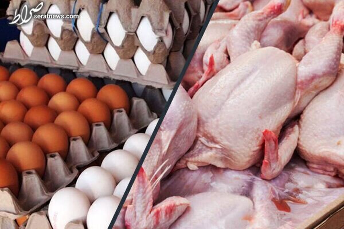 عذرخواهی از مردم به دلیل کمبود مرغ و افزایش قیمت/ قیمت‌های جدید مرغ و تخم‌مرغ