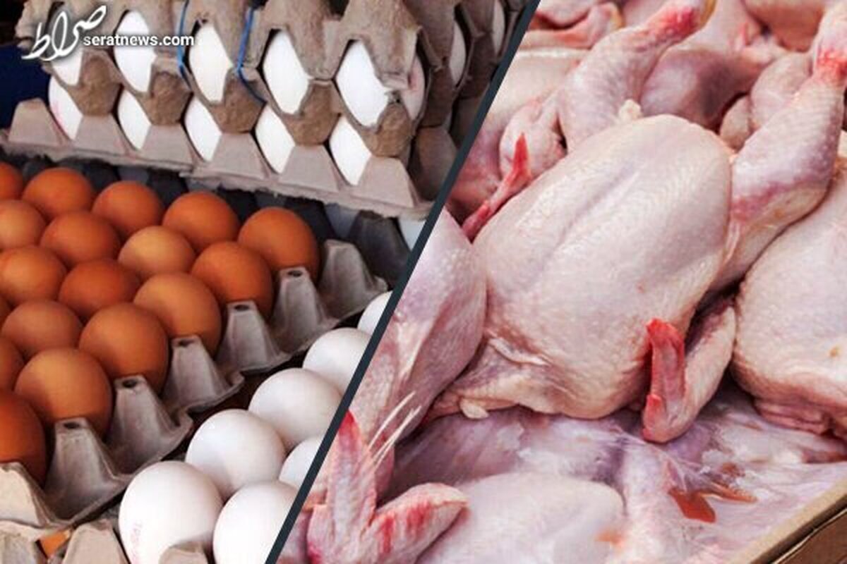 عذرخواهی از مردم به دلیل کمبود مرغ و افزایش قیمت/ قیمتهای جدید مرغ و تخممرغ